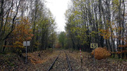 S9960045