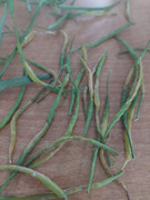 IMG-cea294fc272c9ab0ee77d366053cafb5-V