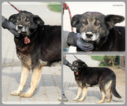 Be-Funky-collage-16.jpg&key=3c097a1030a7