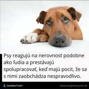 Obrázok