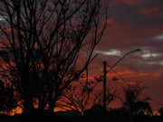 50.5.oncoming evening V