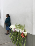 IMG-8257