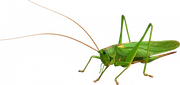 0-1c0bc2-9c6322d4-orig