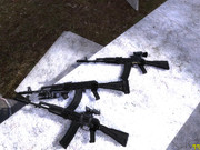13.jpg
