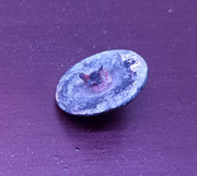 Identificar 20230318-193809