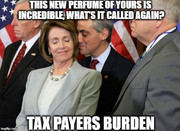 PelosiBurden