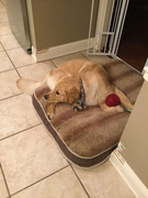 image_2023-02-02_225130282