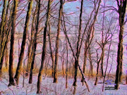 2215020070046342459RBOVvf_fs