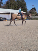 7107DFF3-1A7F-4DE5-8239-61DD00456203