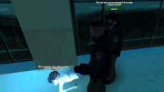 gif-11