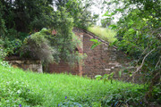 DSC-0004