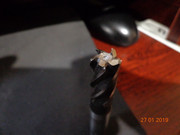 DSC00310.jpg
