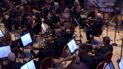 IMG-007
