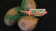 batch-IMG-0376
