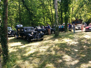 IMG-20230528-160426.jpg