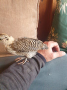 d2a11030-2291-405c-a9fd-0fa6a977e226