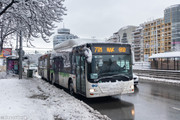 IMG-2953