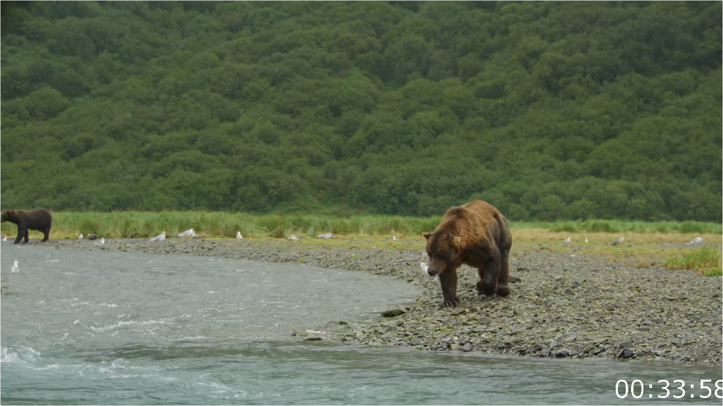 [Image: 8uvipm725xul.png]