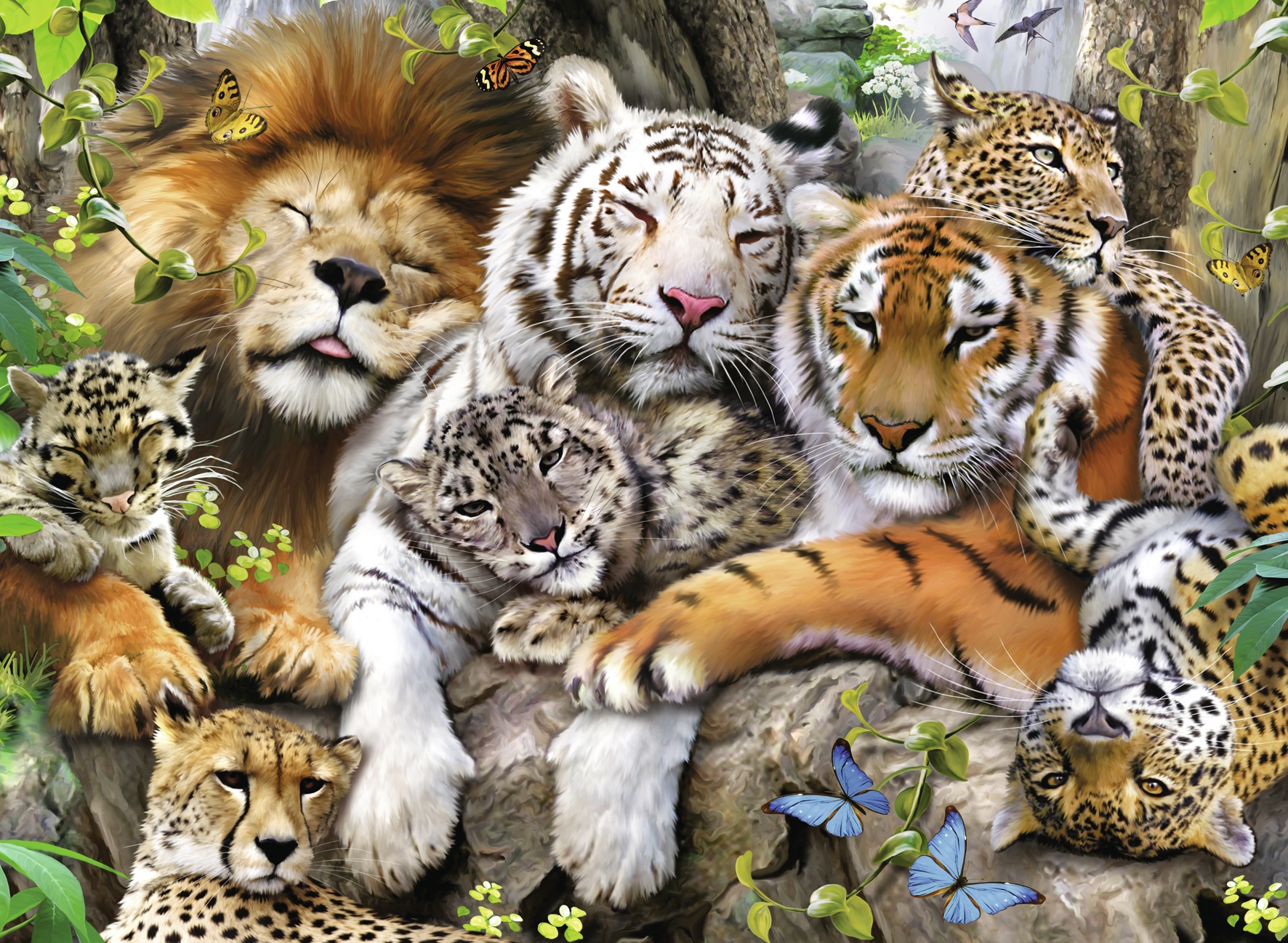 Screensavers & Wallpapers Screensavers & Wallpapers