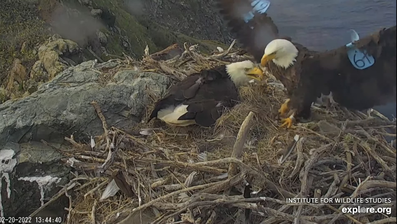 7E91E3AA-F783-4739-B4ED-C89333980D37