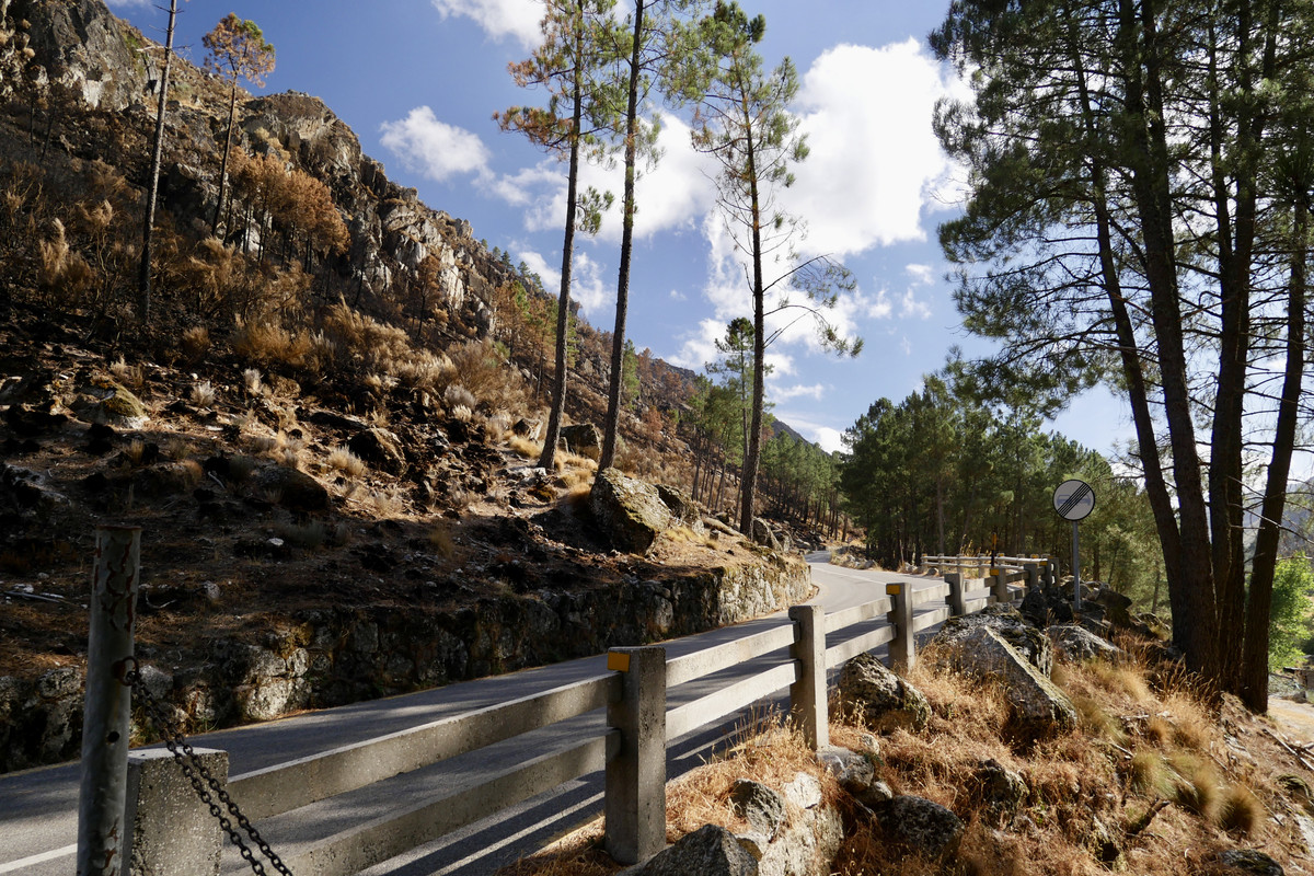 D777446C-A5CE-44F8-AD34-295BEA43C2B4