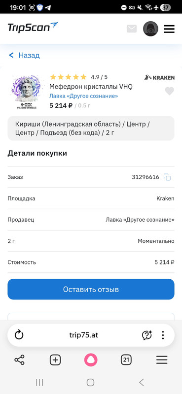 Screenshot 20260601 190132 Yandex Browser