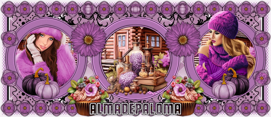 Muffin alla Zucca almadepaloma