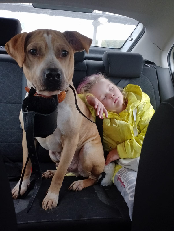 7A63CA38-BFEA-479F-83F7-90C8982EFF7F