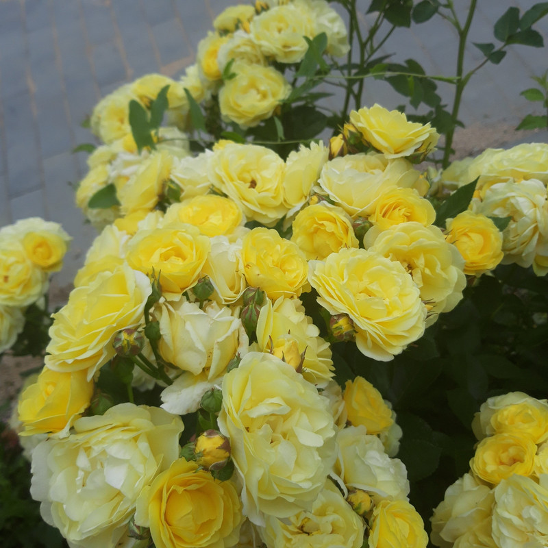 20190610_114257