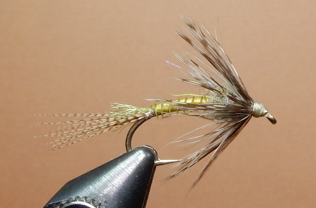 Green-Drake-Soft-Hackle-1080.jpg