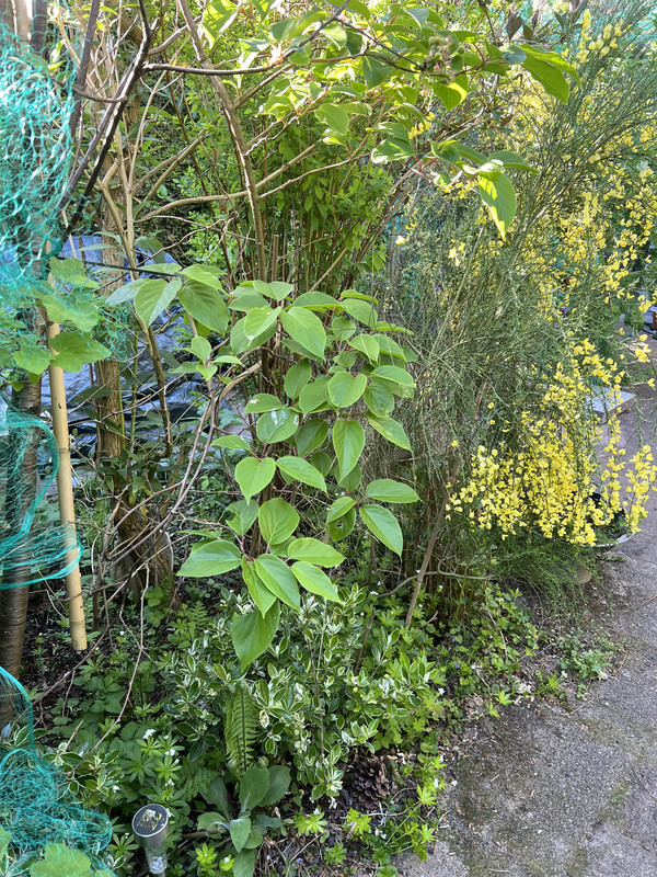 IMG-8272.jpg