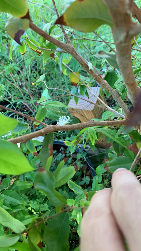 6414AD8D-8D46-43A8-A78C-9B1362370686