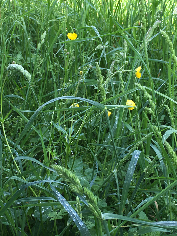 E35B10DB-F1CD-4D32-8615-B3595C9B7C29