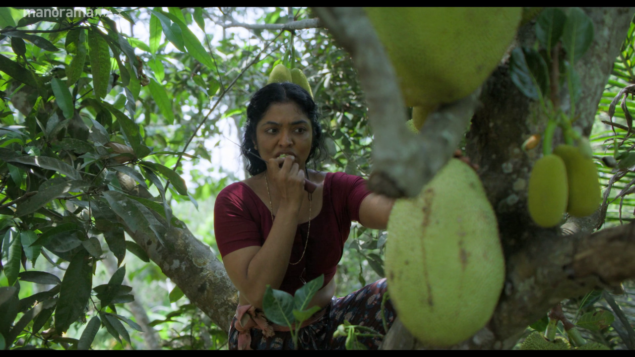 vlcsnap 2026 02 25 12h51m02s675