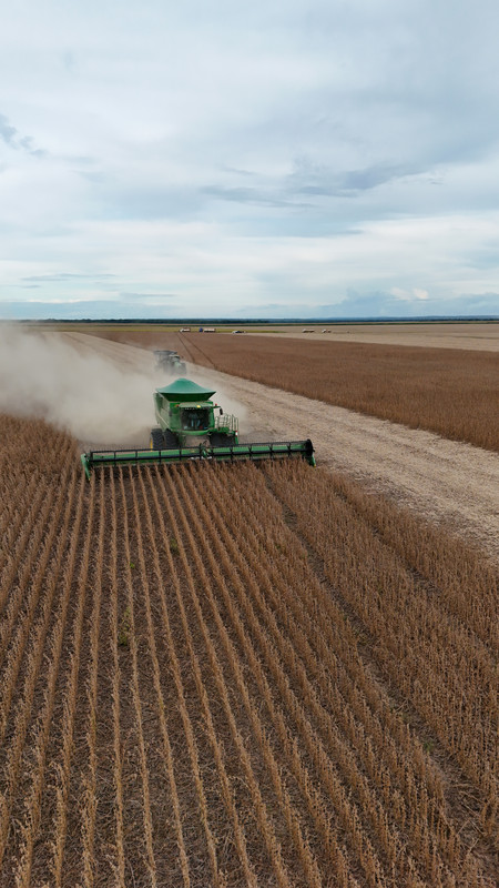 DJI 20260416170244 0419 D