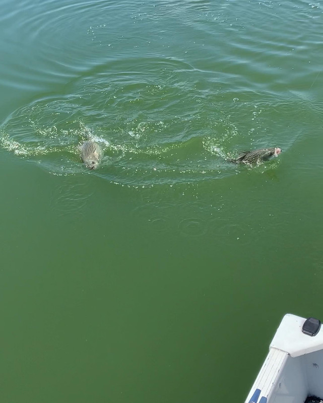 94FCD1F6-EC42-48CD-891D-600C7BF7CE06