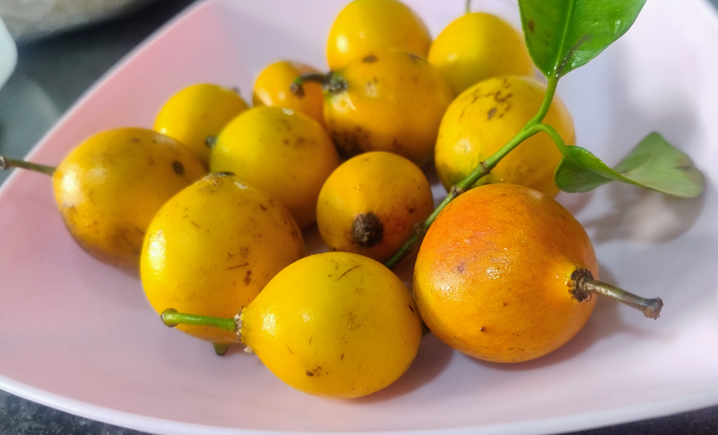 1024 foro IMG 20251222 175400228 AE