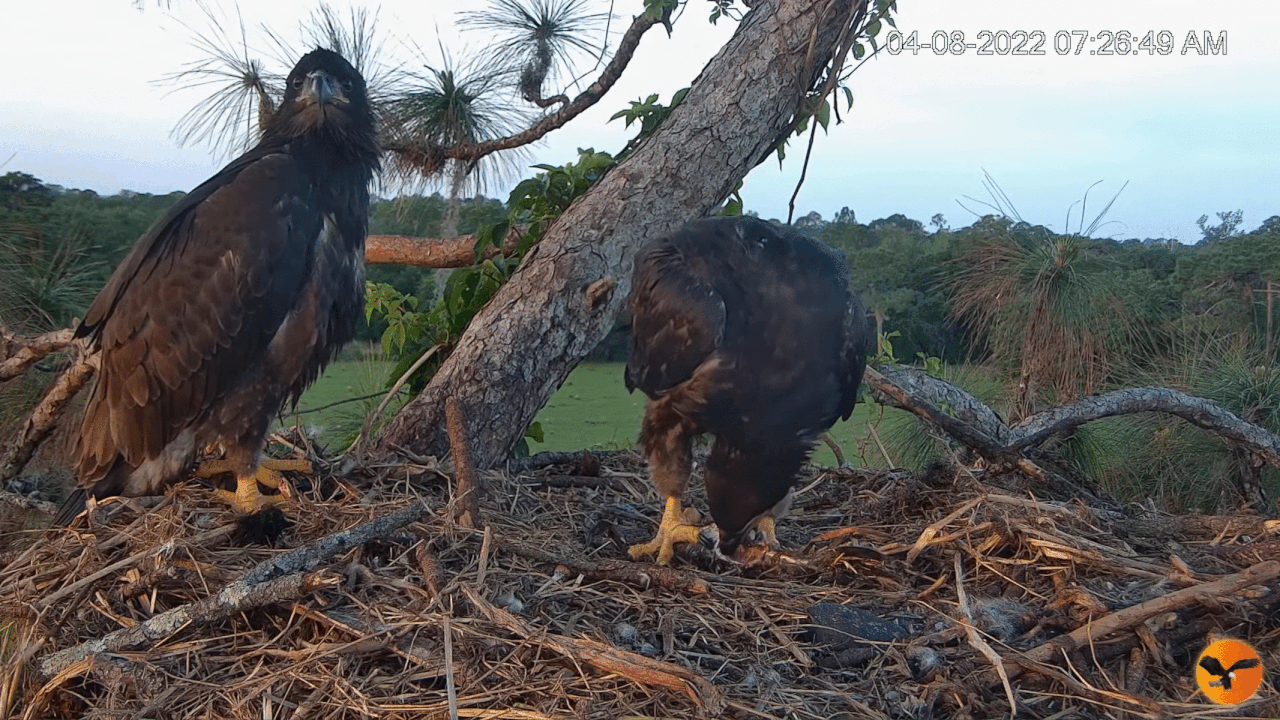 Webp.net-gifmaker (4)