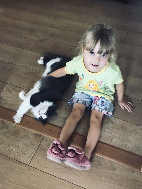 IMG-0c32ff5aedae66b2412b244f6870f253-V