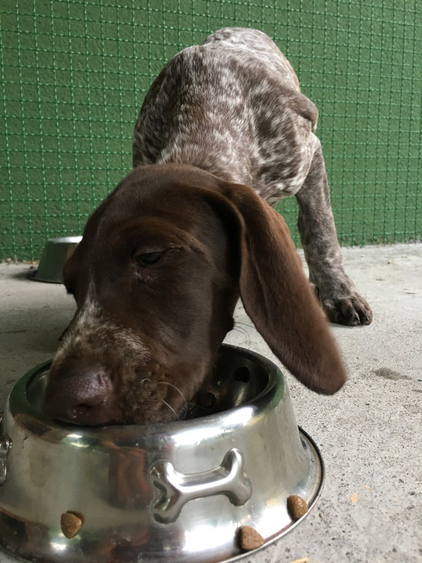 32F08BCB-7CE4-4B79-A223-2046721F532B