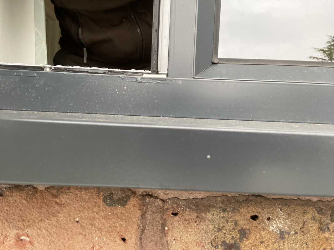 BE879BB9-8C54-48DA-BA8D-6A5D164D8526