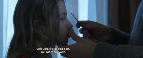 A német doktor (The German Doctor / Wakolda) (2013) WEBRip AVC HUNSUB MKV Tgd3