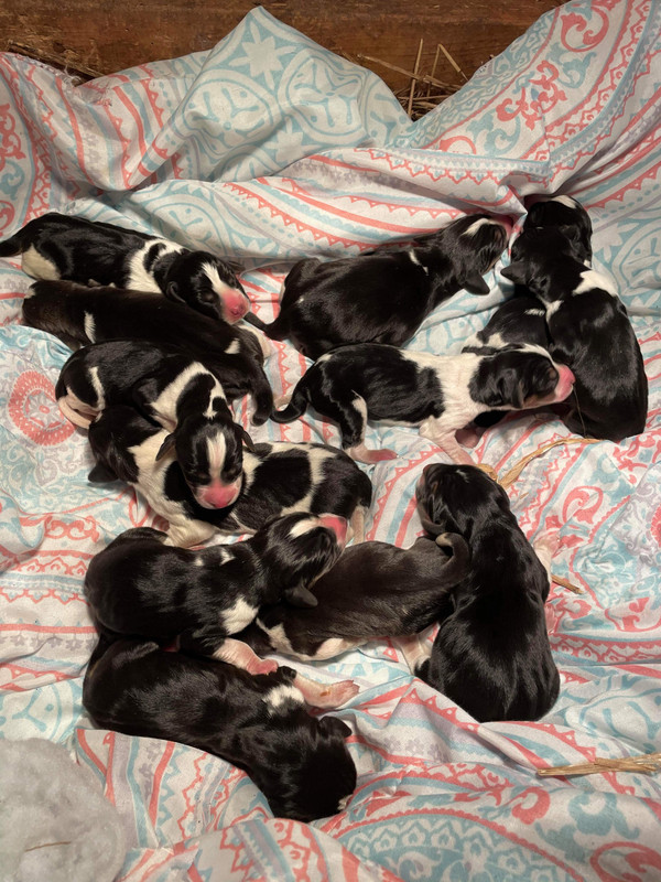 BF295FF5-0771-4ABF-80EF-424EB9150450