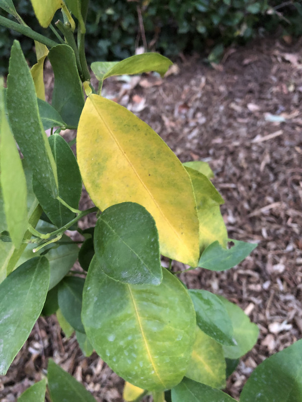 1B9BC17B-73B8-44BE-AD97-33F94483D330