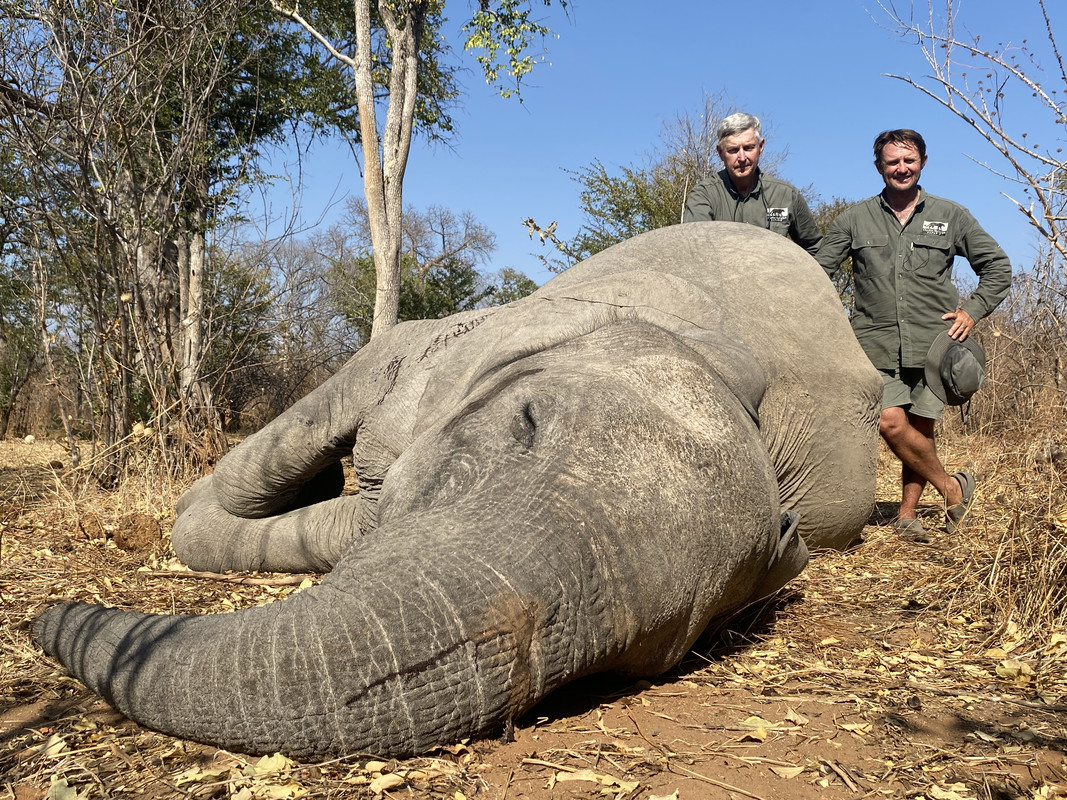 A22C83F4-1876-42C9-8BB3-CF8AE5391F07