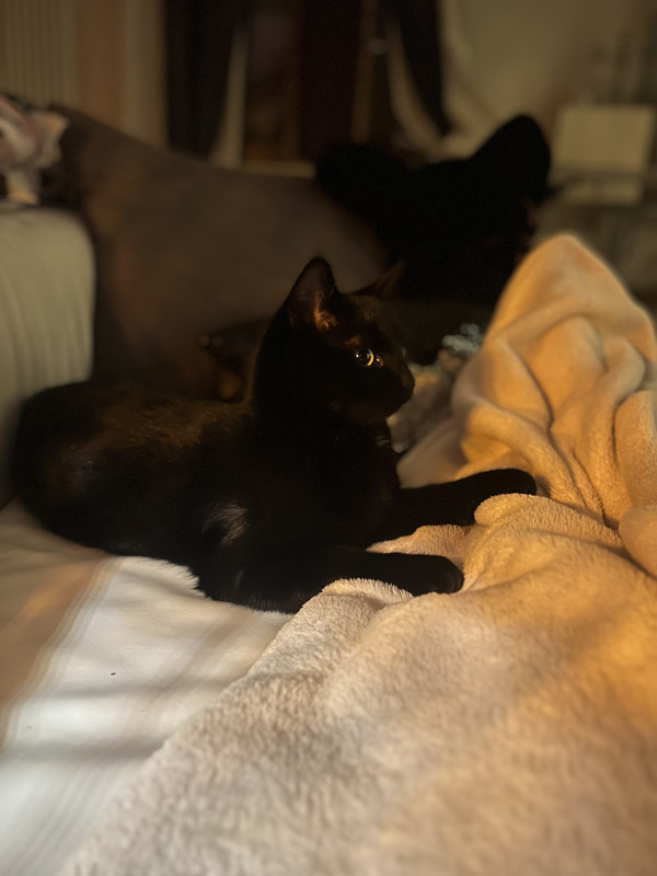 5DA5AD56-1A14-4EE4-A4ED-DE9740A7F346