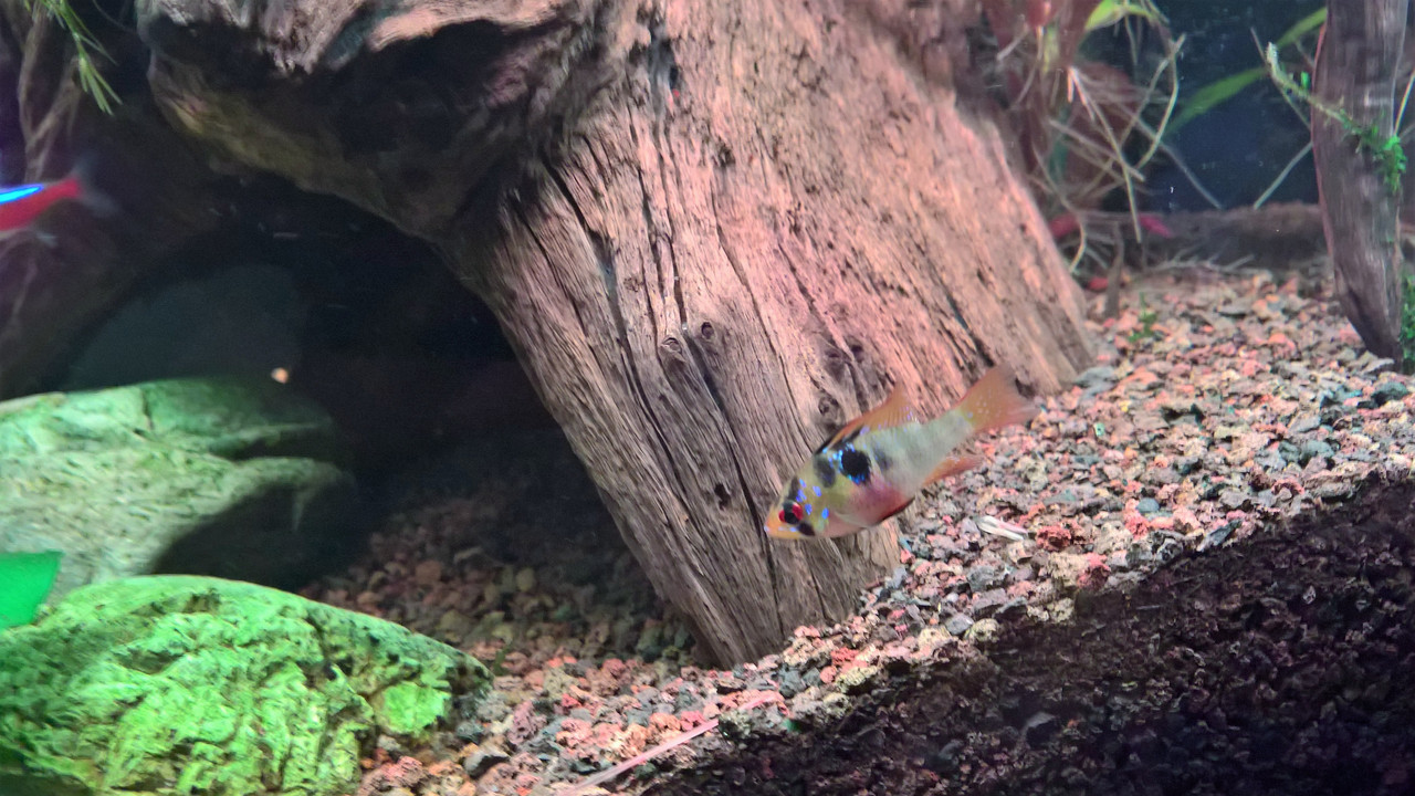 WP_20170312_18_03_01_Rich_LI (2)