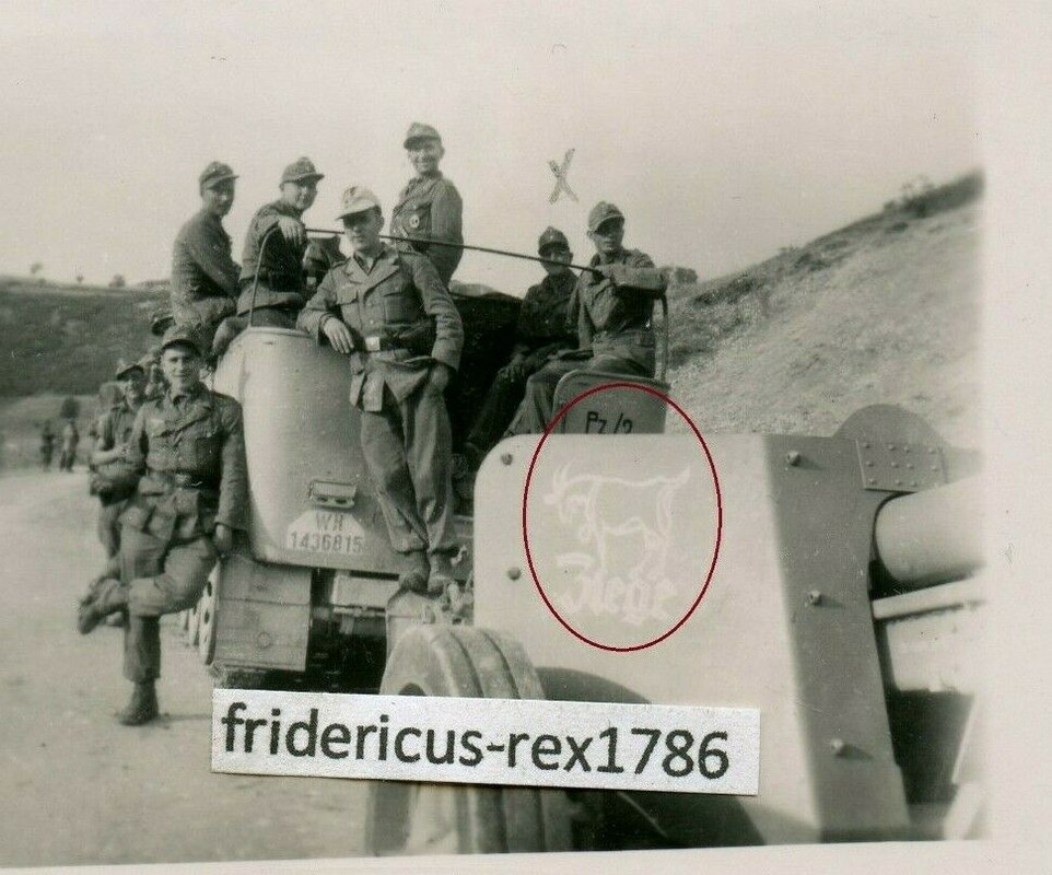 Foto WH Gebirgs Jäger Panzer Jäg. Abt. mit Pak Kennung Ziege SdKfz