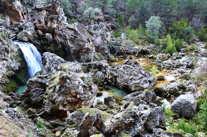 RUTA RIO BOROSA-12-3-2016-JAEN - Paseando por España-1991/2016 (187)