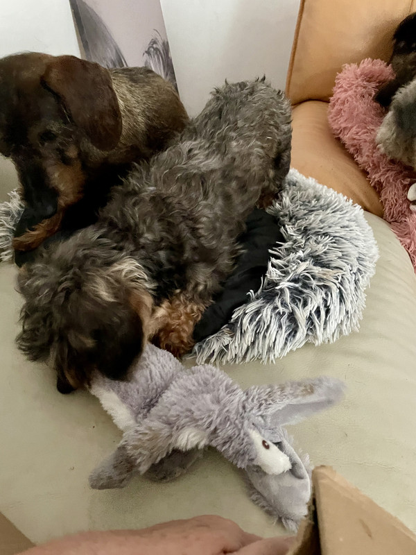 [Image: IMG-1567.jpg]